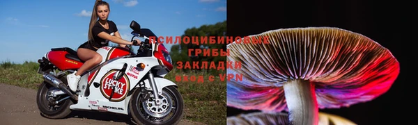 спиды Переславль-Залесский