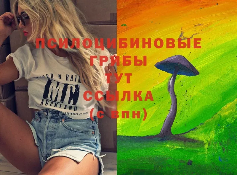 Псилоцибиновые грибы Magic Shrooms  Наволоки 