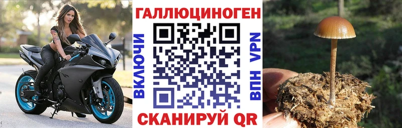 Псилоцибиновые грибы прущие грибы  Наволоки 